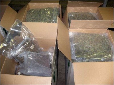 10 kg de cannabis saisis dans une villa Cylindrées femme étrangère et