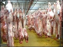 Importation De 35 000 Tonnes De Viande Congelee Depuis Janvier Algerie360