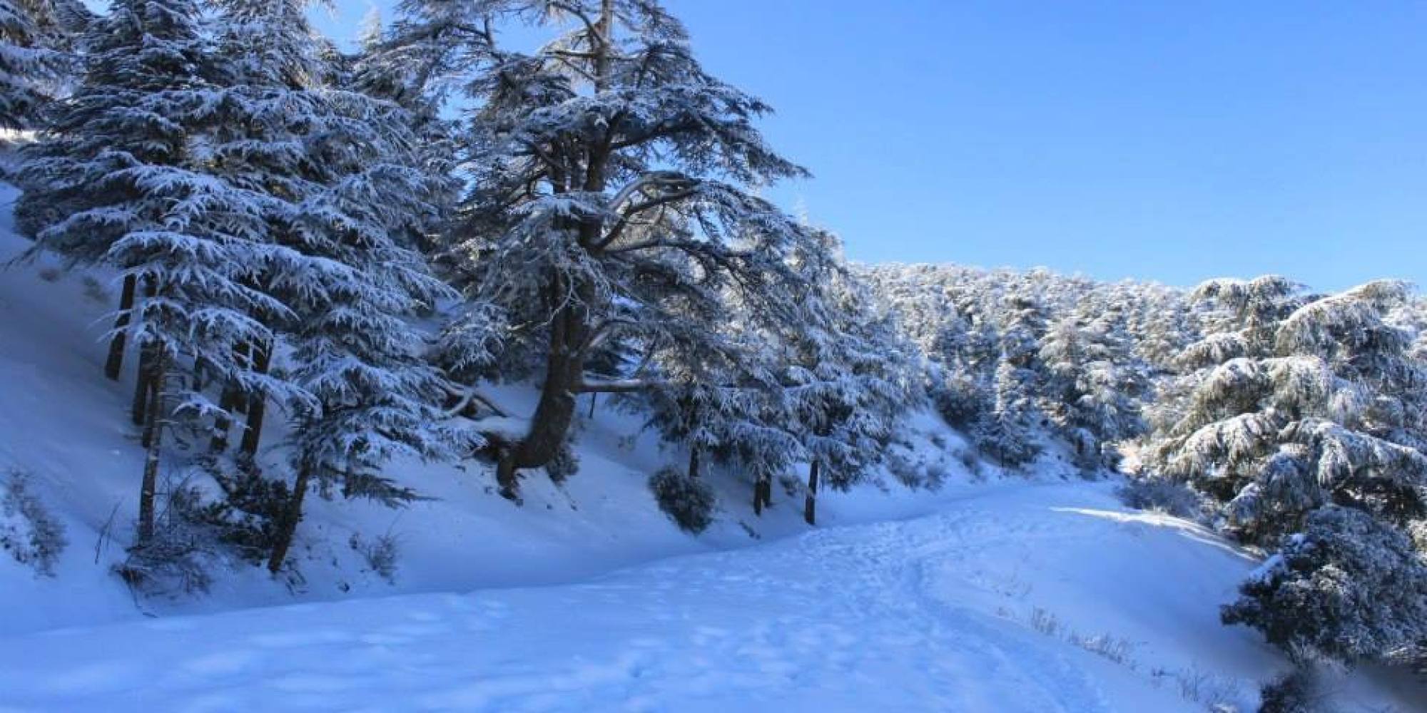 Importantes Chutes De Neige Enregistrées à Naâma Algerie360