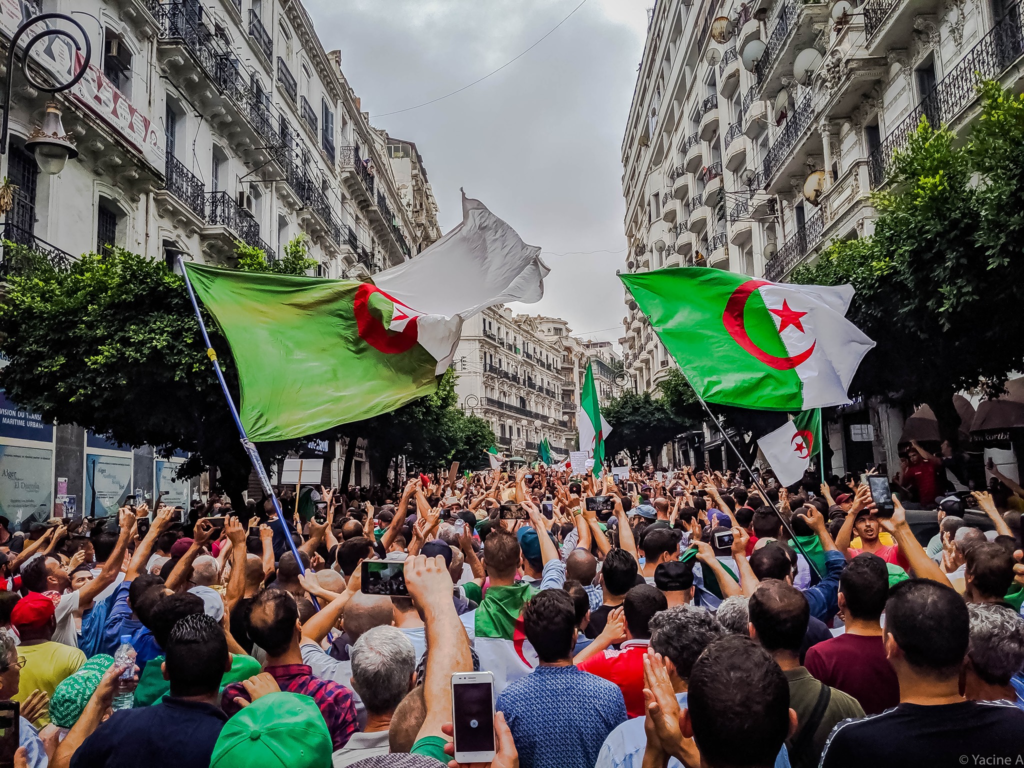 Algerie Chat