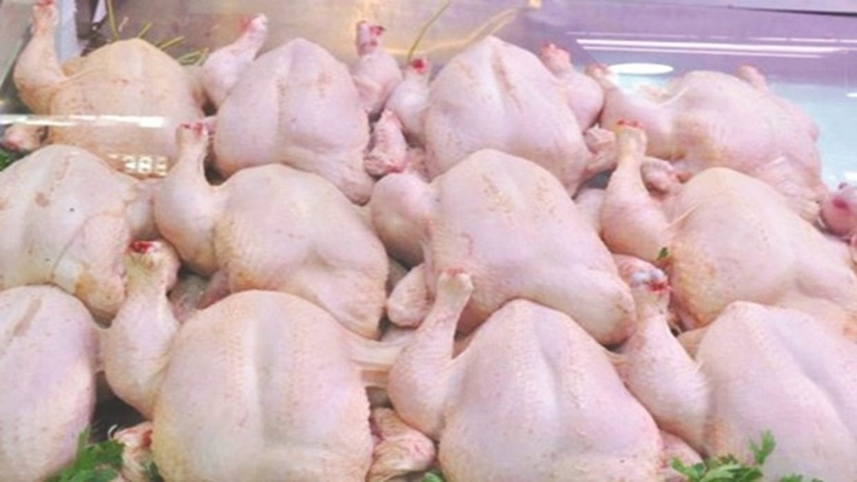 Le « Poulet Vert » sans antibiotique débarque en Algérie