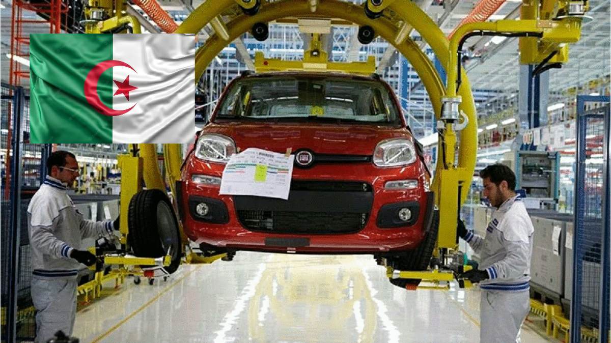 Industrie Automobile En Alg Rie Les Mod Les Fiat Bient T D Voil S Algerie