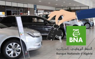 Banque d'Algérie et marché informel : le dinar face aux devises ce 7 mars -  Algerie360