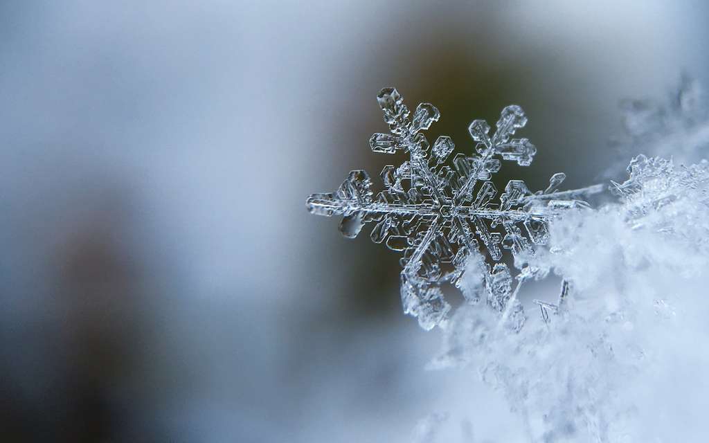 La météo en Algérie ce 19 janvier : un temps nuageux, pluvieux et froid domine ce début de semaine