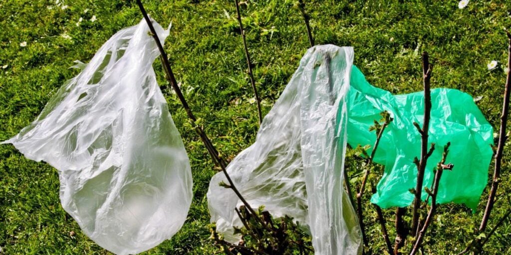 Pollution plastique en Algérie : vers la fin des sacs à usage unique ?