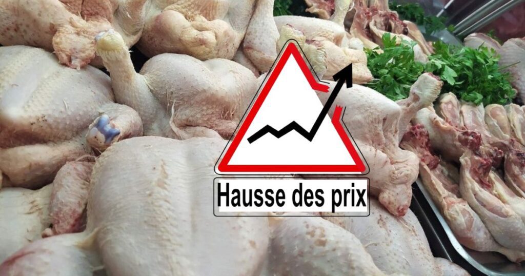 À quelques jours du Ramadan, le prix du poulet flambe : Le président de l’APOCE dévoile la raison