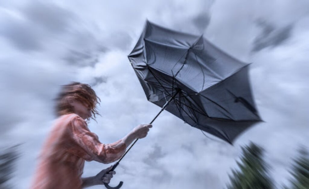 Prévisions météo du lundi 24 février : alertes « pluies » et « vents de sable » dans ces wilayas !