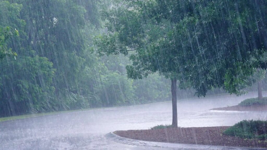 Météo du week-end en Algérie : vents violents, pluies et orages persistants ce vendredi 21 février