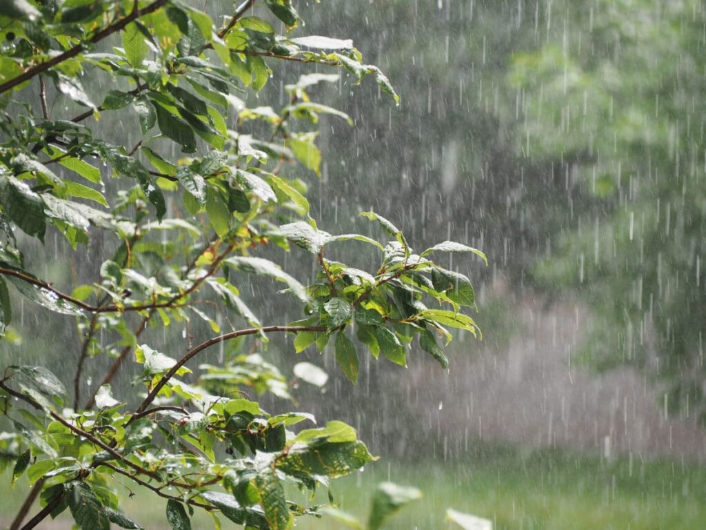 Météo Algérie : alertes pluies et vents violents dans plusieurs wilayas ce mercredi 5 février