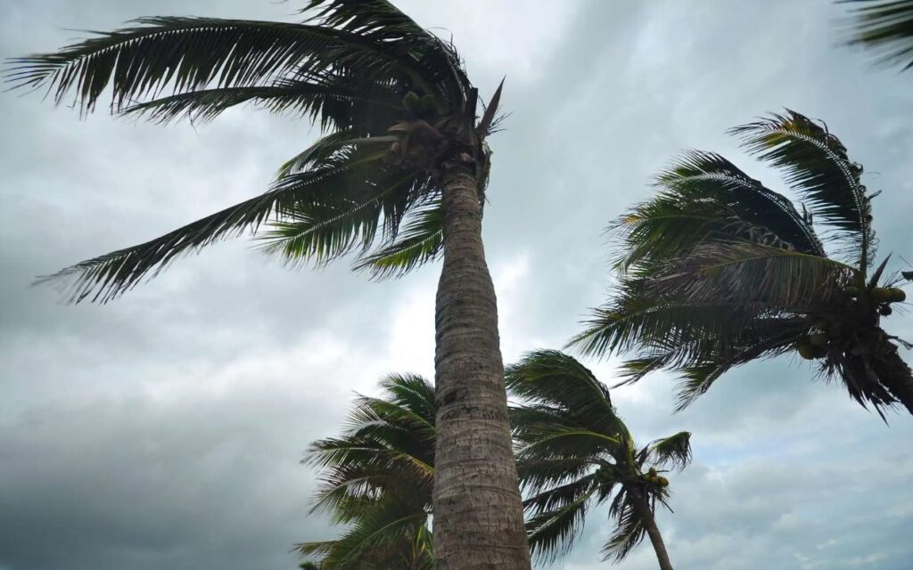 BMS – Météo Algérie : vigilance orange « vents violents » dans plusieurs régions ce lundi 17 février