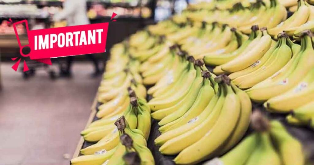 Le prix de la banane flambe à 700 DA/kg… L’UGCAA dénonce les pratiques opaques des importateurs