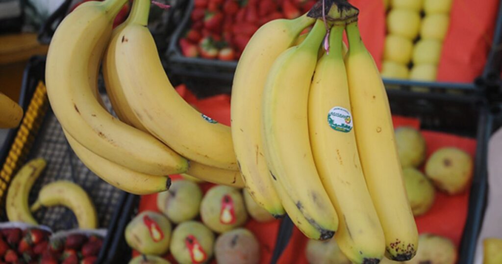 Le prix de la banane passe de 900 DA à 260 DA/kg à partir de ce dimanche