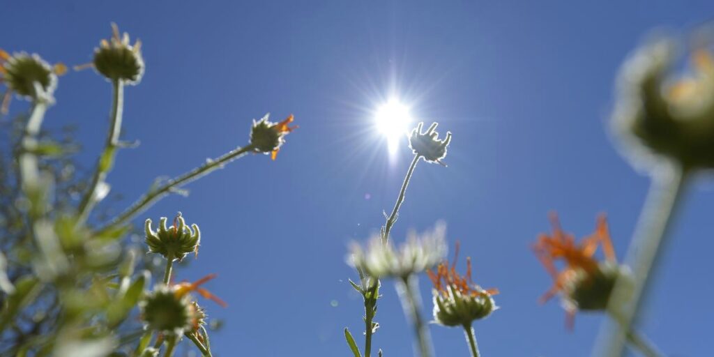 La météo en Algérie : temps stable, mais relativement chaud attendu ce mercredi 19 mars