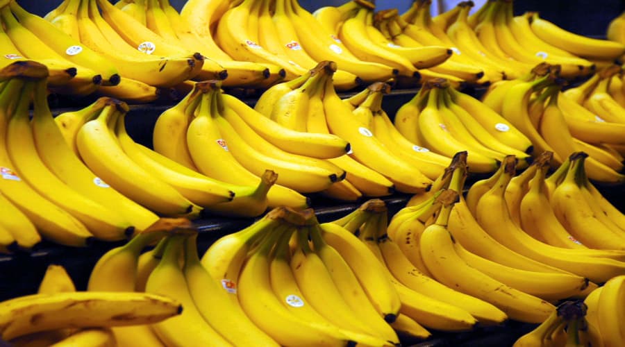 140 DA/KG en Europe, 700 DA/KG en Algérie : l’inexplicable flambée du prix de la banane